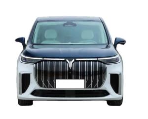 China Dreamer Voyah EV 2023 Max Speed 25km/H Electric Powered Vehicle factory