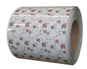 China Q195 Color Prepainted Galvanized Steel Coil PPGI Colour Coated Sheet ASTM A 755 factory