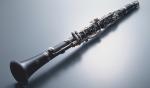 constansa instrumentProfessional Performance Level Ebony Wood Silver Plated 18
