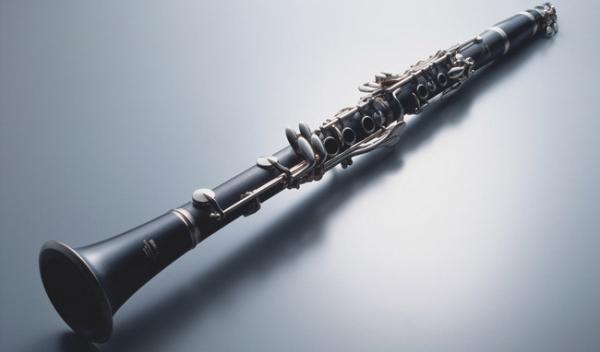 constansa instrumentProfessional Performance Level Ebony Wood Silver Plated 18