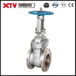ANSI 300lb DN15-DN600 Stainless Steel Flange Ends Globe Valves for Customized