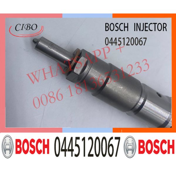 0445120067 Diesel Common Rail Fuel Injector EC210 EC210B Excavator VOE20798683 20798683 04290987
