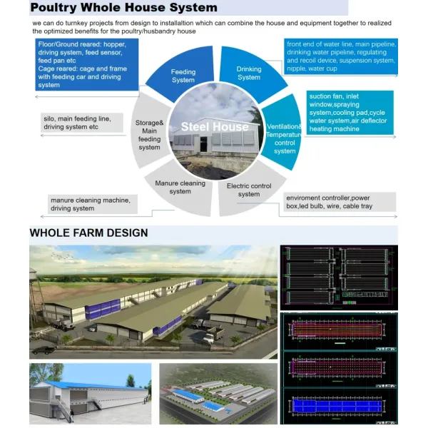 Chicken Poultry Farm Equipment for Broiler House in Philippines with Steel Structure House