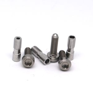 WLL CNC Stainless Steel Parts Customized Titanium Micro Screws