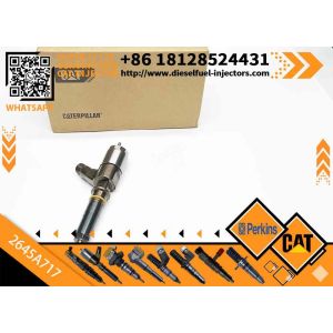 China New Diesel Common Rail Fuel Injector 317-2300 3172300 2645A717 for C4/C6 engine in stock on sale