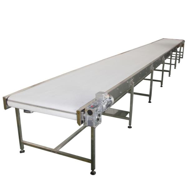 Vertical Vegetable Fruit Incline Flat PVC White Conveyor Belt System For Food