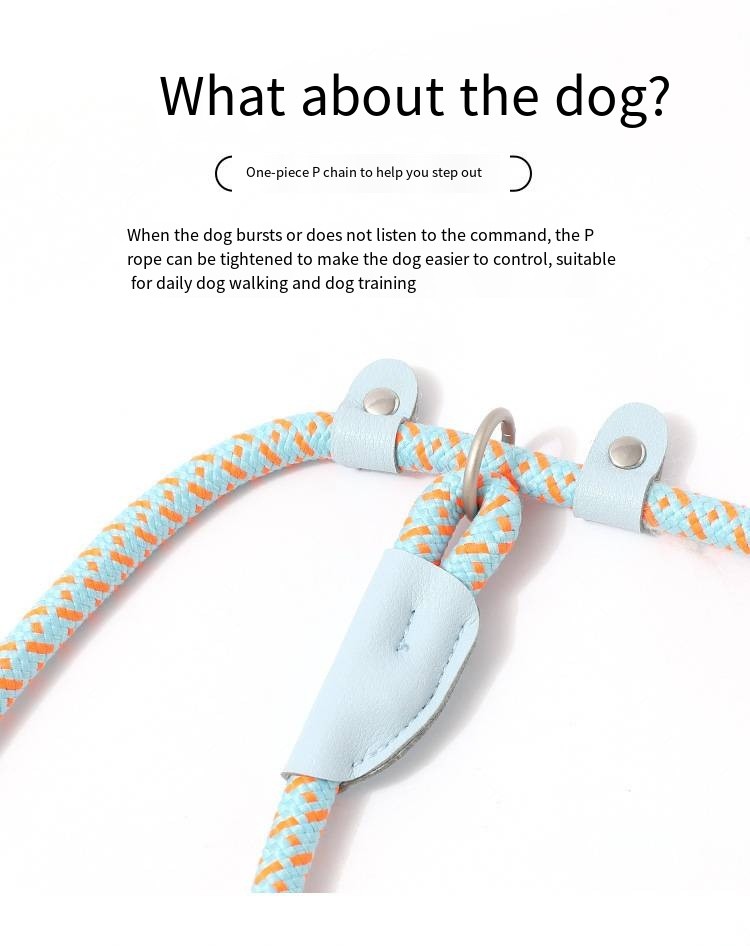 Pets Nylon Sturdy And durable Leash High Quality Traction Rope For Dog And Cat