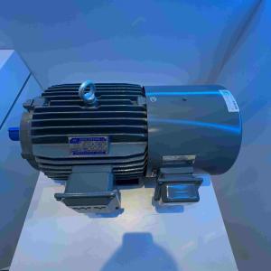 China Water Resistant Dust Proof Permanent Magnet Synchronous Motors With GOST factory