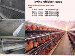 galvanized chicken coop