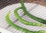 Outdoor 300mm Length 200mm Width Titanium Wire Mesh , BBQ Grill Net
