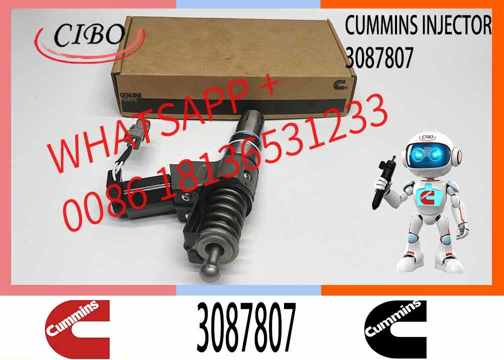 Common Rail Diesel Fuel Injector 3411764 3087733 3087807 For Cummins QSN14 N14