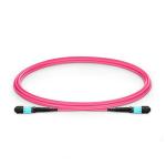 MPO /MTP Om4 50/125 8-Core Multimode Fiber Optic Cable LSZH Fiber Optic Patch