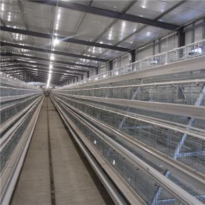 China A Frame Broiler Chicken Cage System Hot Dipped Wire Mesh factory