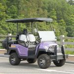 Electric Fuel 4 Wheel Four Person Golf Cart With Rear Seat , Purple Color