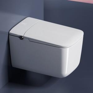 China Multifunction Ceramic Elongated Bowl Modern Smart Toilet Electric With Sunken Tank factory