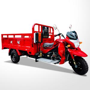 China 800W DAYANG DY-R1 RUITENG 250cc Cargo Tricycle for Heavy Duty CCC Three Wheels Motorcycle factory