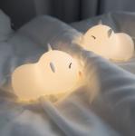 Piggy Colorful Sleeping Light,Small night light