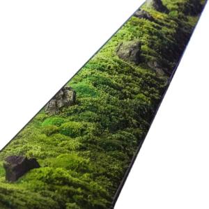 China Natural Preserved Nordic Bonsai Artificial Moss For Green Plant Wall factory