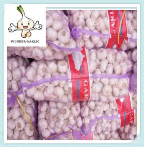 China 5.0-5.5 cm Fresh Normal White Garlic Packed In 10Kg Loose Carton factory