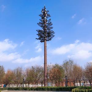 China Radio WiFi 4G Cell Phone Bts Monopole Telecom Tower factory