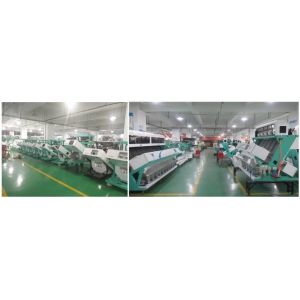 Customizable Dry Beans Gravity Separator Machine Coffee Bean Color Sorting And