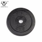 Black Painting 1-inch Cast Iron Weight Disc Plates