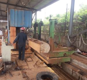 China Diameter 1000mm Vertical Band Sawmill Timber Cutting Machine Vertical Bandsaw Mill with CNC Log carriage factory