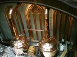 Semi Auto Steam Copper Brewing Equipment , 500L Microbrewery Machine