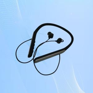 China Noise Reduction Rechargeable Hearing Aids 4 Programs 80 Hours Neck Hearing Aid factory