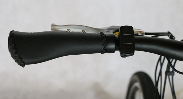36V Voltage Brushless Motor Chainless Electric Bike 2019 with Shaft Drive and Voltage