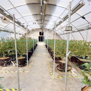 China Single Span Blackout Shading Light Deprivation Greenhouse 10-100M factory