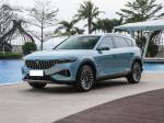 Voyah Free SUV Electric Car 4 Wheel Drive High Speed 200 Km/h New Energy