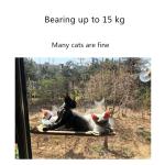 100% Cotton Cat Window Hammock Space Saving With Suction Cup