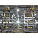 90-160 Birds H Type Chicken Cage Poultry Farming Design