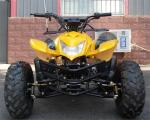 125cc Air Cooled Youth Racing ATV 4 Stroke Single Cylinder Chain Drive