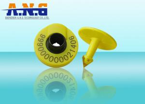 China Radio Frequency Smart Rfid Animal Tags Contactless For Identification / Tracking factory