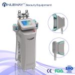 5 Handles Fat Freezing Machine , Multifunctional Cavitation RF Machine