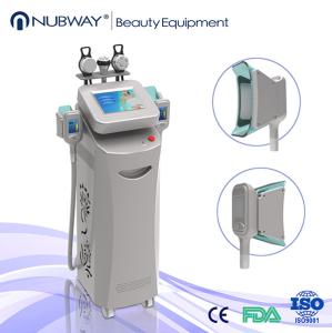 China 2014 best selling Cryolipolysis Slimming Machine with CE certification factory
