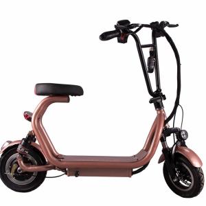 China Max Speed 20-25km/h 350W Citycoco Bike for Fast and Convenient City Ride factory