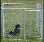Chain Link Fence Large Dog Enclosures Outdoor Galvanized Surface Treatment