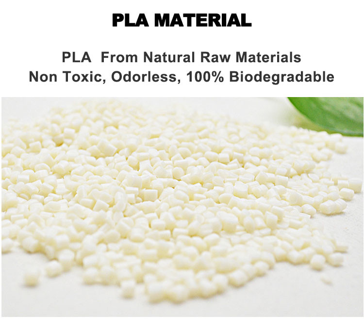 PLA Compostable Cups Biodegradable Smoothie Beverage Cold Disposable Drink To Go Cup