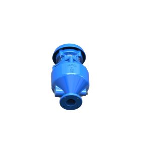 Epoxy Coated Sewage Air Release Valve With SS316 Internal Parts