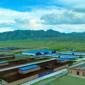 Modern Light Steel Frame Cattle Shed with Galvanized Steel Structure