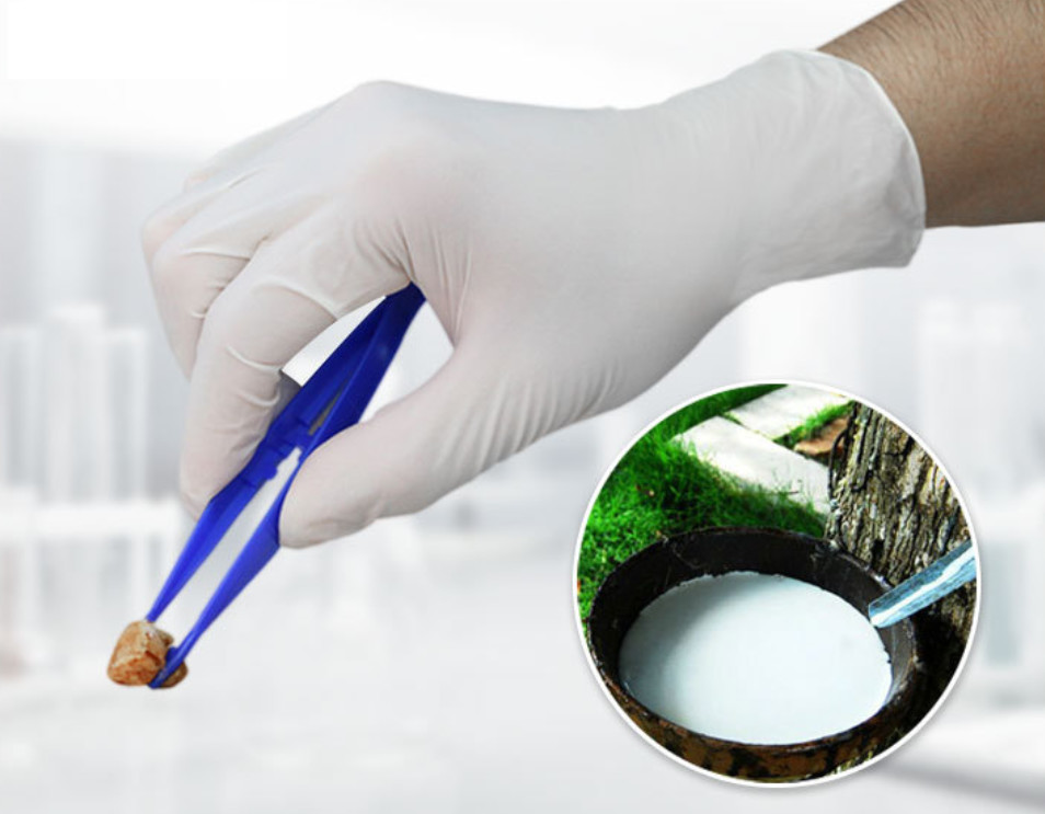Personal Protective Medical Disposable Latex Gloves for examination