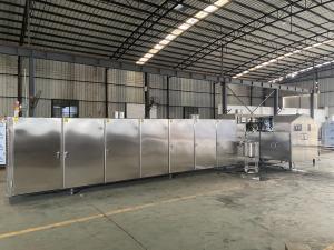 China 3800pcs/H Wafer Ice Cream Cone Production Line Multifunctional factory