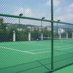 Farm And Field 2mm Chain Link Mesh Fencing Galvanized Power Coated