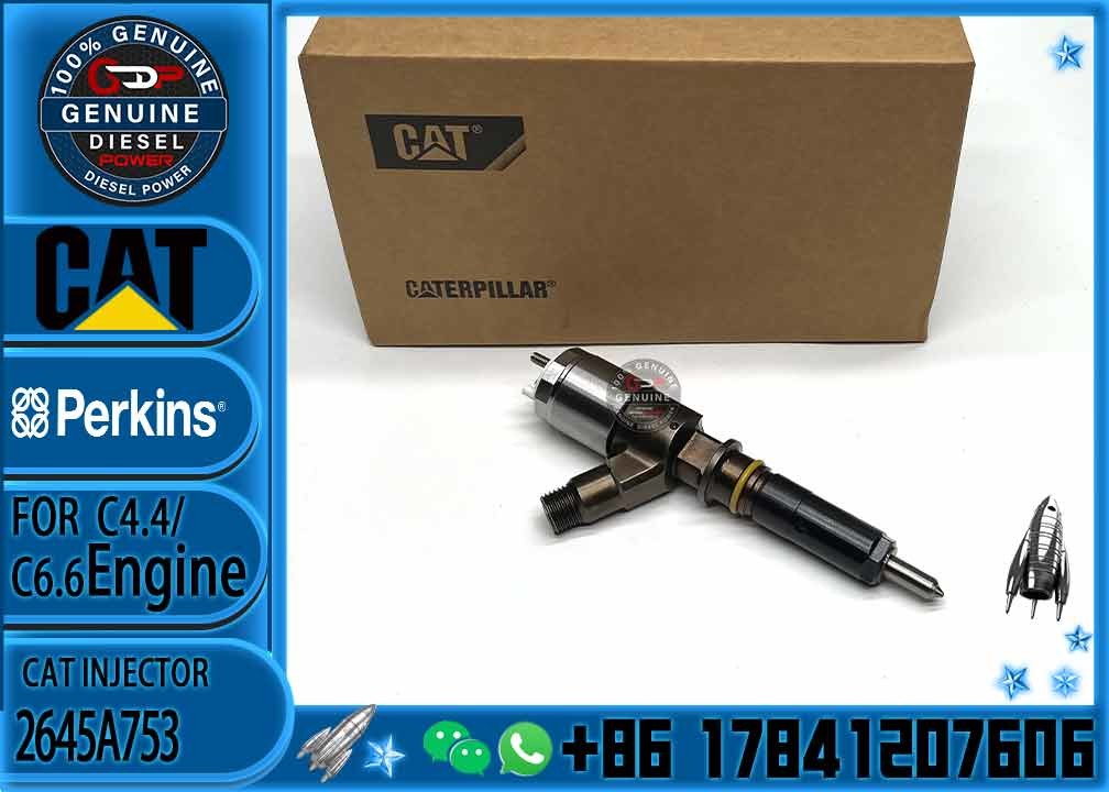 fuel injector CAT 2645A753 2645A718 10R-7673 10R-7676 2645A734 10R-7674 10R-7668 10R-7938 10R-7939