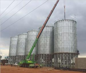China Great volume popular TCK series hopper bottom galvanized steel rice paddy storage silo factory