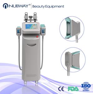 China Fast Slim cryolipolysis machines (Factory Sale) factory