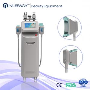 China New products looking for distributors Cryolipolysis Slimming Machine from china on sale